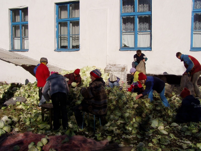 Ragazzi ripresi mentre svolgono alcune mansioni all'interno dell'istituto