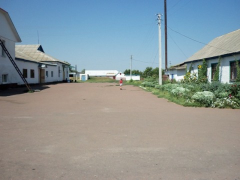 foto di alcune palazzine dell'istituto